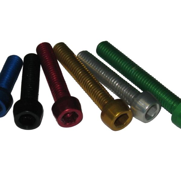 Tornillo ergal VBG ZETASASSI VBG8X40V