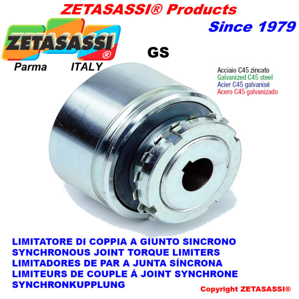 LIMITADORES DE PAR A JUNTA SÍNCRONA "GS" ZETASASSI GS140