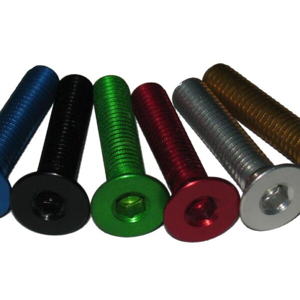 Tornillo ergal VBS ZETASASSI VBS8X40V